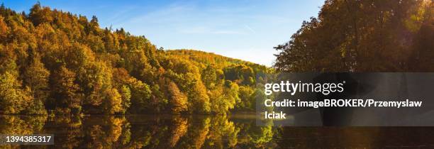 lake landscape with autumn foliage and reflections in styria, thal, austria - thal austria stock-fotos und bilder