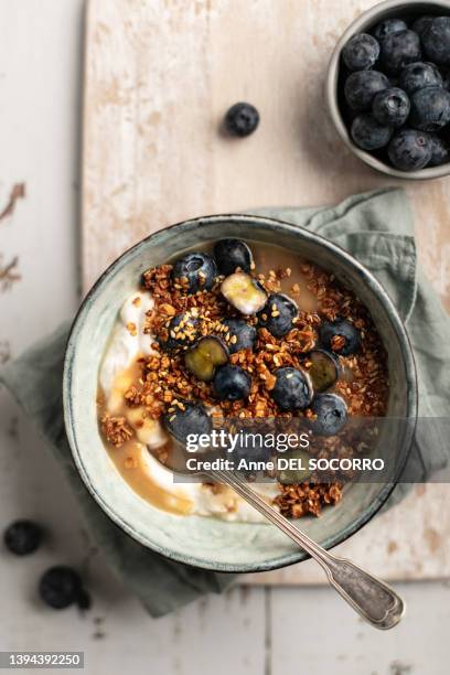 breakfast granola bowl with blueberries and yogurt - protein bar fotografías e imágenes de stock