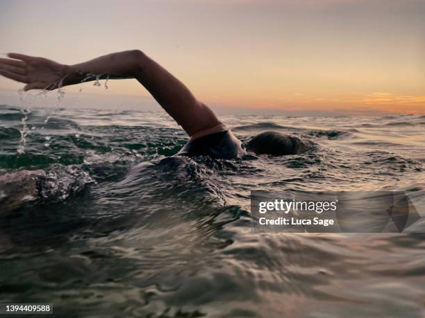 female sea swimmer at sunset - nuoto foto e immagini stock