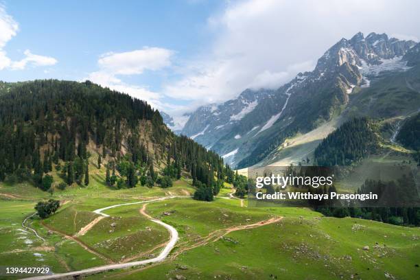 views of sonmarg valley - vale de caxemira - fotografias e filmes do acervo