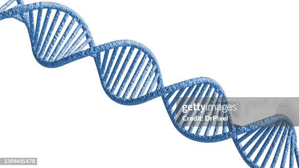 3d rendering of dna structure on white background - adn fotografías e imágenes de stock