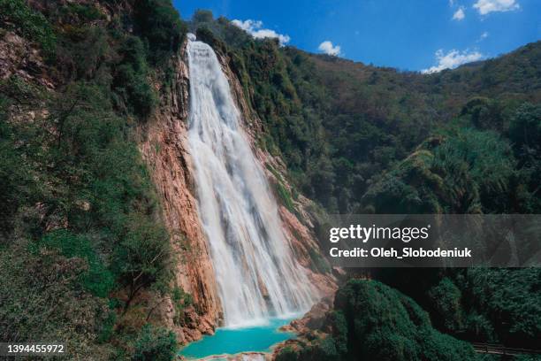 f cachoeira el chiflon em chiapas - cultura guatemalteca - fotografias e filmes do acervo