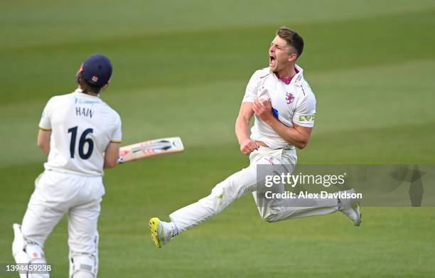 Tom Abell of Somerset celebrates taking the wicket of Sam Hain during Day Two of the LV= Insurance County Championship match between Somerset and...