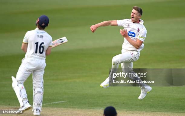 Tom Abell of Somerset celebrates taking the wicket of Sam Hain during Day Two of the LV= Insurance County Championship match between Somerset and...