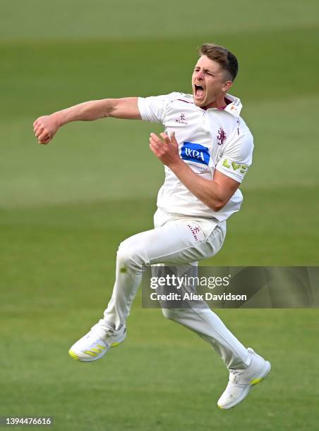 Tom Abell of Somerset celebrates taking the wicket of Sam Hain during Day Two of the LV= Insurance County Championship match between Somerset and...