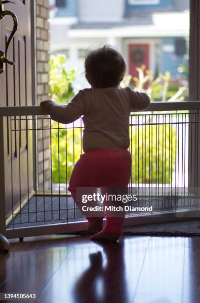 baby standing by front door - baby gate stock pictures, royalty-free photos & images