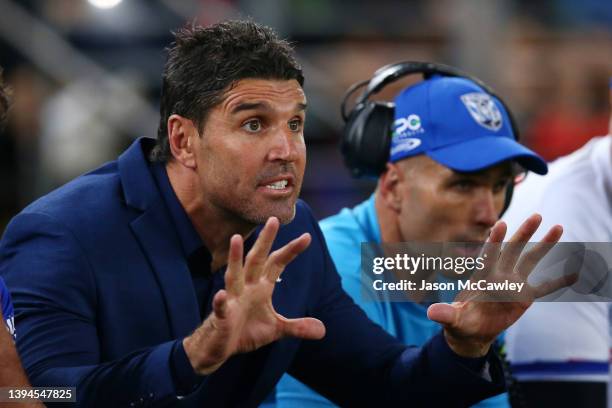 Bulldogs coach Trent Barrett coaches from the players bench during the round eight NRL match between the Canterbury Bulldogs and the Sydney Roosters...