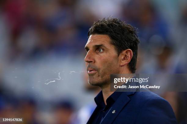 Bulldogs coach Trent Barrett reacts during the round eight NRL match between the Canterbury Bulldogs and the Sydney Roosters at Stadium Australia on...