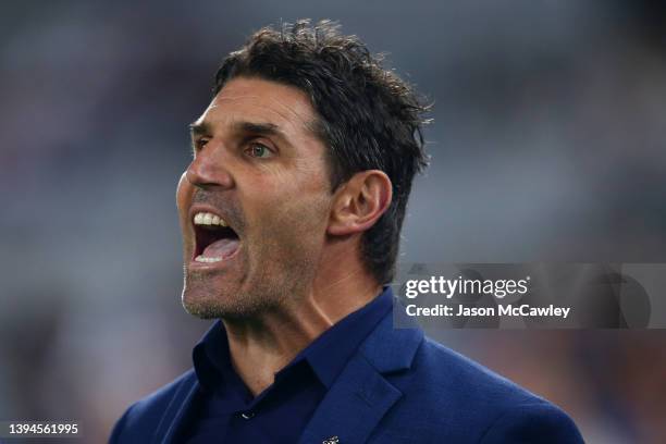 Bulldogs coach Trent Barrett reacts during the round eight NRL match between the Canterbury Bulldogs and the Sydney Roosters at Stadium Australia on...