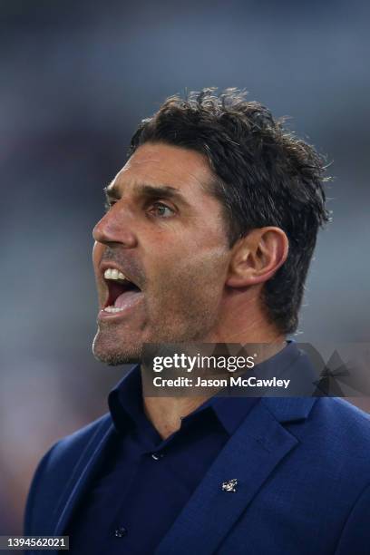 Bulldogs coach Trent Barrett reacts during the round eight NRL match between the Canterbury Bulldogs and the Sydney Roosters at Stadium Australia on...