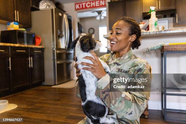 us army servicewoman hugging her dog - military dog stock pictures, royalty-free photos & images