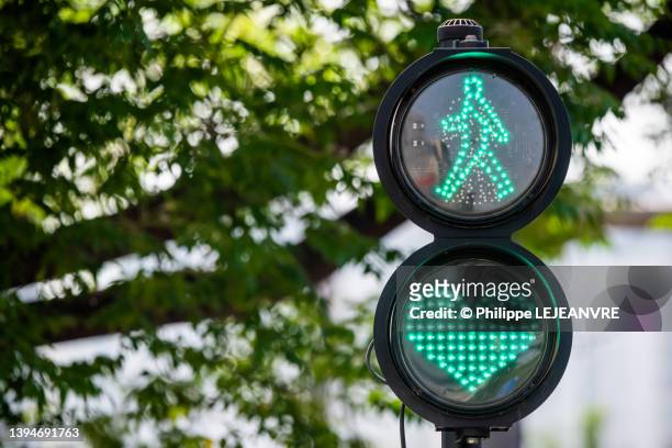 green light pedestrian traffic signal with heart shape against trees - ampel grün stock-fotos und bilder