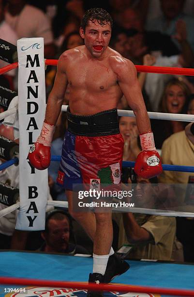 Oscar De La Hoya looks on after he knocked down Fernando Vargas during their world super welterweight/Jr. Middleweight championship fight at the...