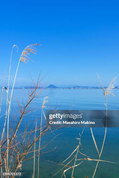 winter view of lake biwa - omi stock pictures, royalty-free photos & images