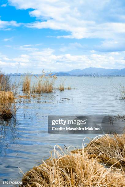 winter view of lake biwa - omi stock pictures, royalty-free photos & images