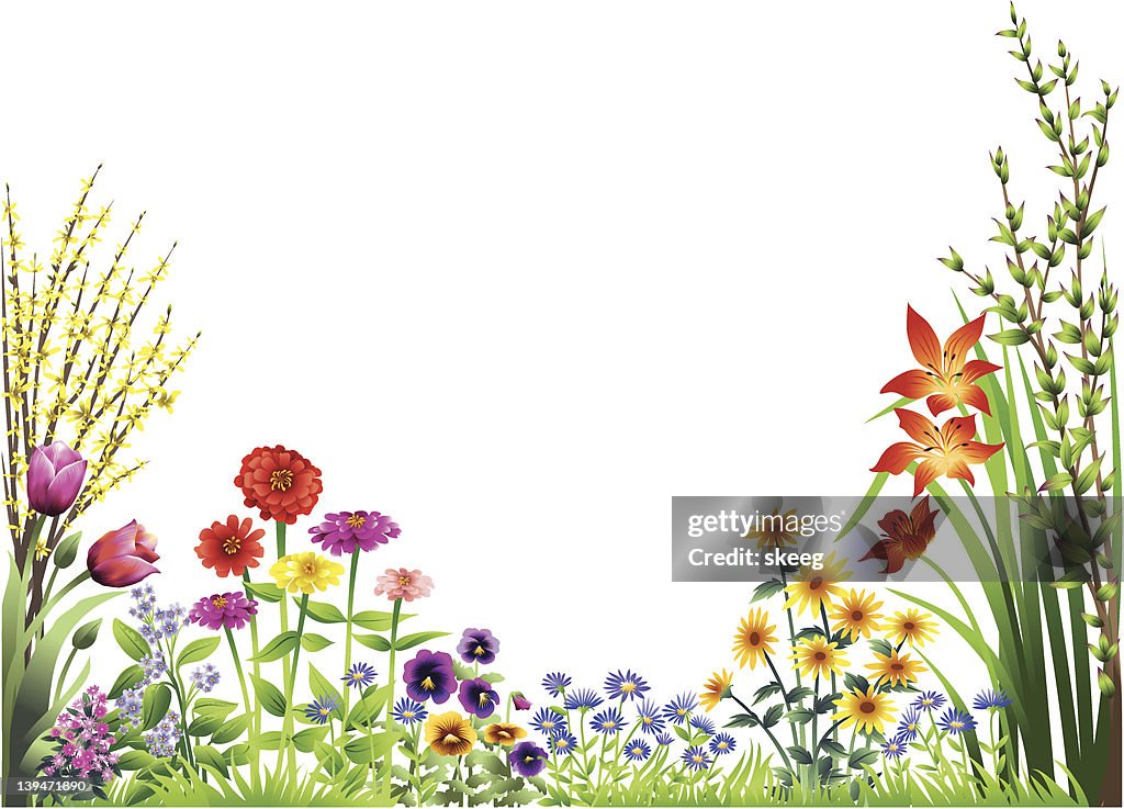 Flower Garden