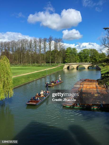 il fiume cam scorre attraverso l'università di cambridge - punting foto e immagini stock