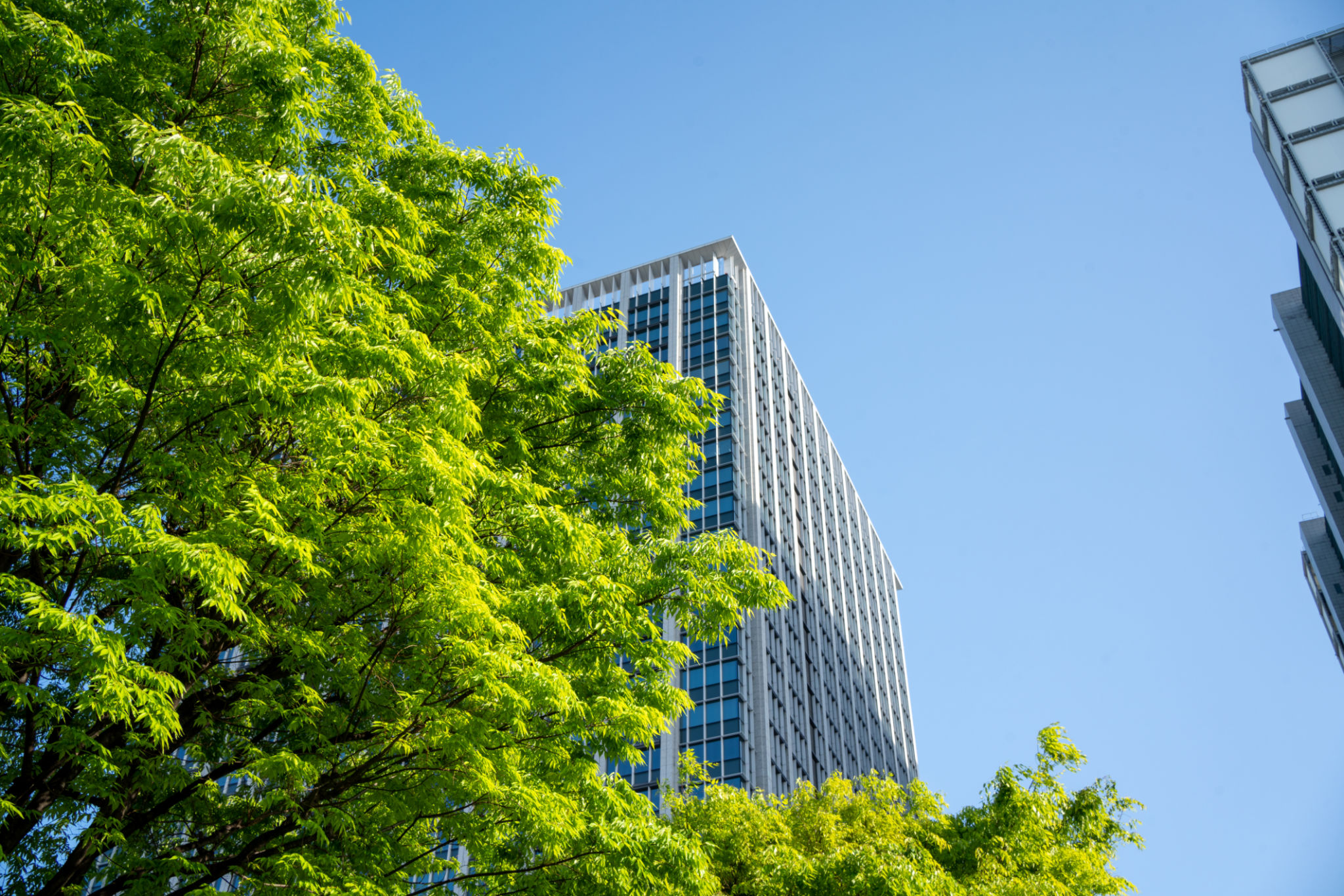 urban greenery