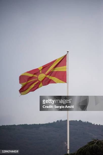 cornelian cherry tree branch and north macedonia flag - north macedonia stock-fotos und bilder