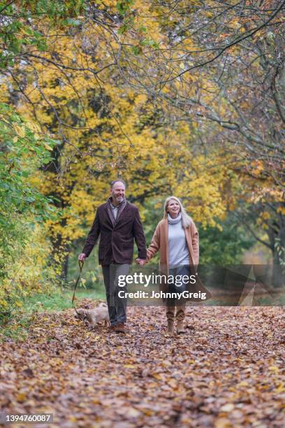 caucasian couple in 50s and 60s walking terrier in park - 60 64 years stock pictures, royalty-free photos & images