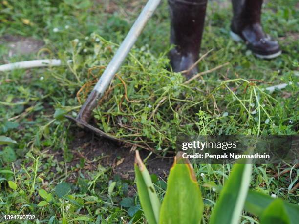 a woman in boots is using a hoe to dig the soil to plant trees - ho stock pictures, royalty-free photos & images