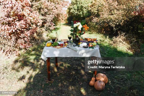 the table is beautifully set in nature. autumn table setting. thanksgiving day. autumn festive table. - old fashioned thanksgiving stock-fotos und bilder