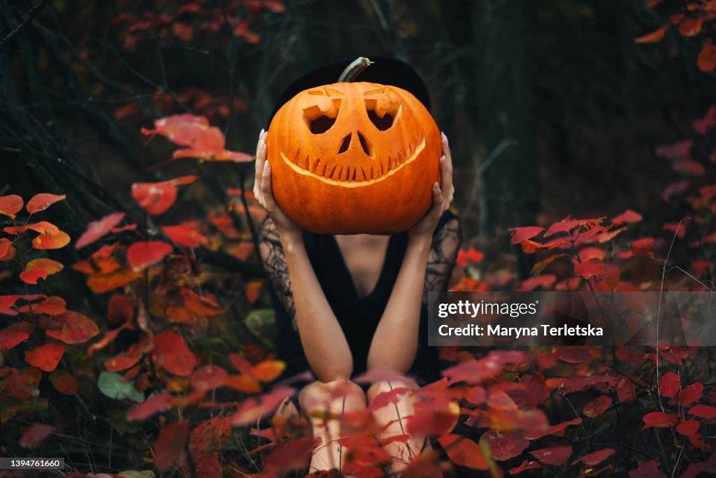The girl sits in the forest and holds a pumpkin in her hands. Halloween pumpkin. Autumn background.