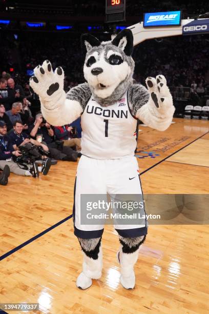 The Connecticut Huskies mascot on the floor during the semifinals of the Big East Basketball Tournament against the Villanova Wildcats at Madison...