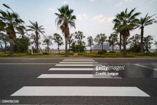 sidewalk zebra crossing - 人行過路線 個照片及圖片檔