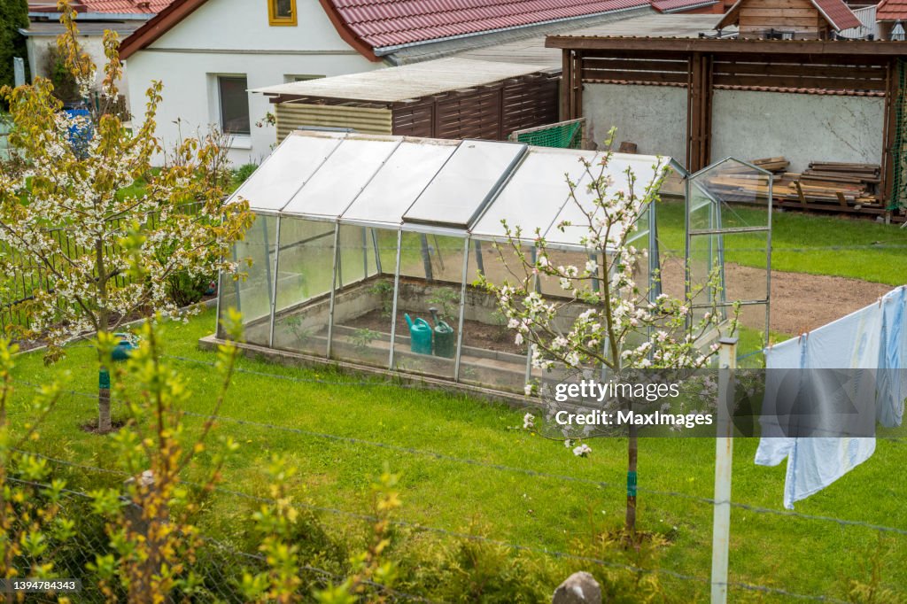 Greenhouse in the garden