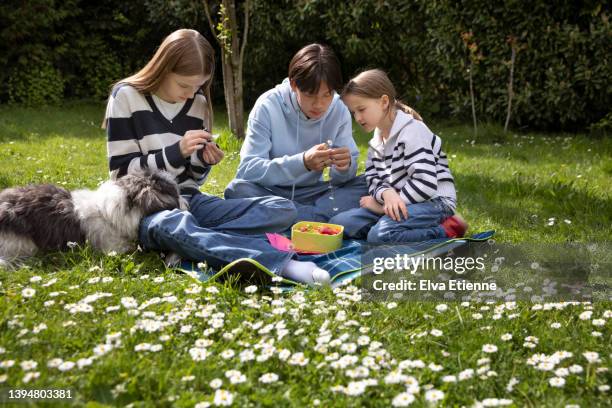 two teenagers and a child sitting on a picnic rug in a garden, making daisy chains in springtime, watched by a pet dog. - daisy chain stock pictures, royalty-free photos & images