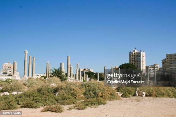 view of the phoenician city of tyre, lebanon - tyre lebanon stock pictures, royalty-free photos & images