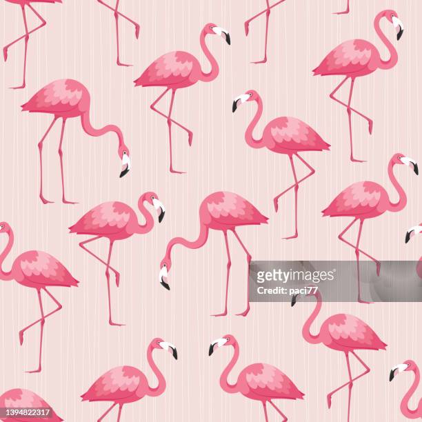 flamingo seamless pattern. tropical pattern. - flamingos stock illustrations