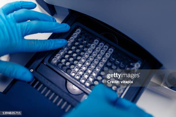 real time pcr machine - pcr device stock pictures, royalty-free photos & images