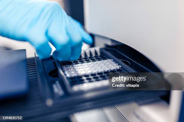 14,600 Pcr Stock Photos, High-Res Pictures, and Images - Getty Images