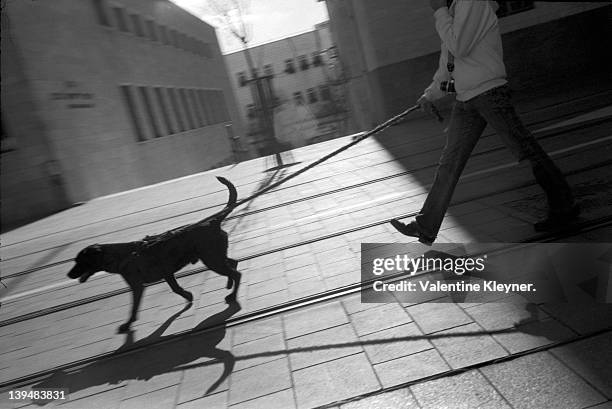 man and dog on road - low section stock pictures, royalty-free photos & images