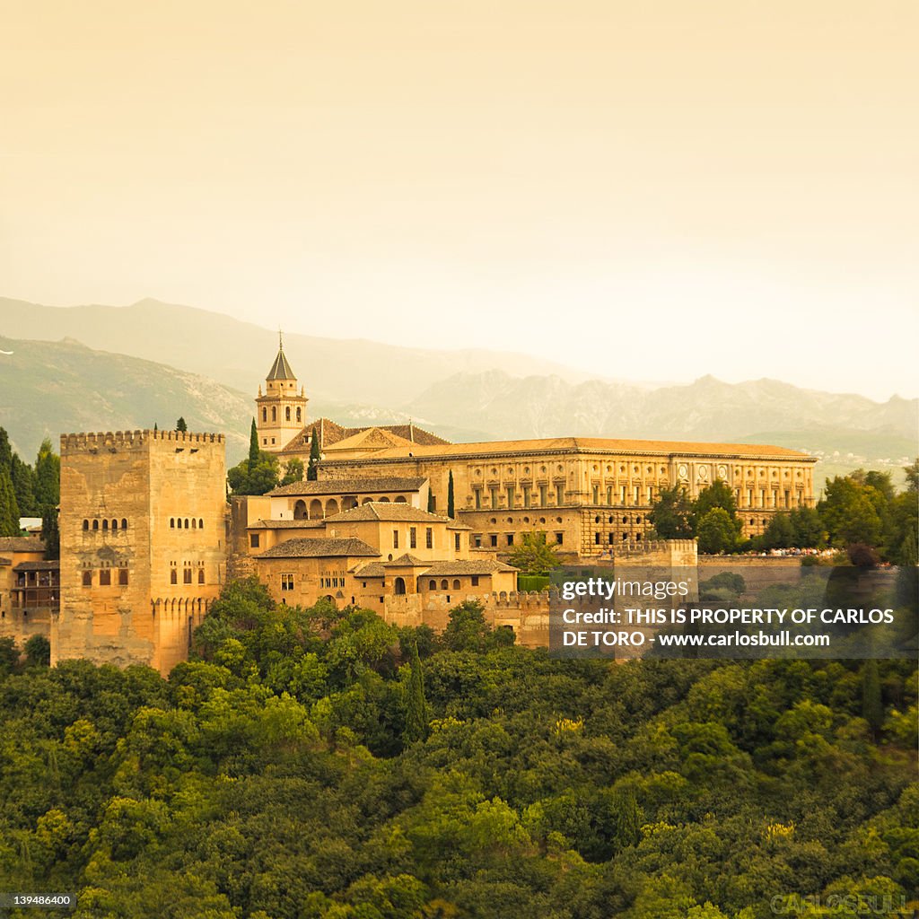 View of Alhambra