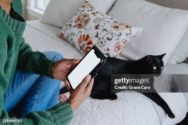 woman checks her smart phone while sitting on bed with cat - black hairy women bildbanksfoton och bilder