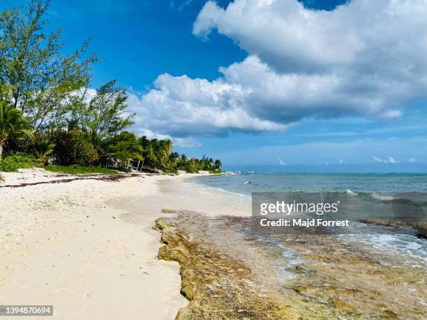 view of consuelas’s beach, south sound, grand cayman, cayman islands - grand cayman islands foto e immagini stock