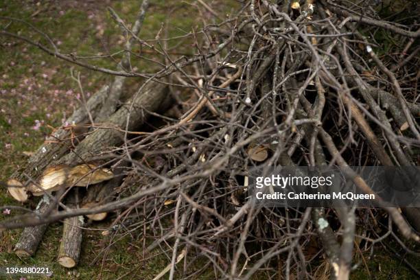 spring yard cleanup: pile of sticks & branches curbside for garbage pickup - twig ストックフォトと画像