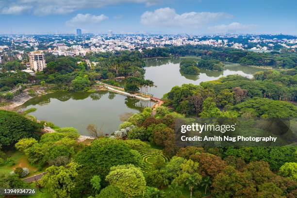 aerial view of the lake inside lalbagh garden - bangalore 個照片及圖片檔