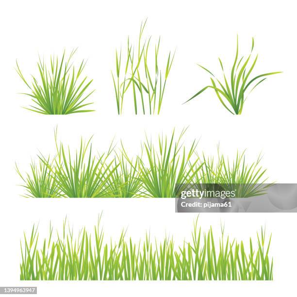set of green grass pattern - turf stock illustrations