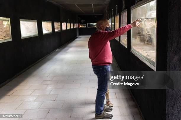 grandfather dressed in jeans and sweater pointing out the animals to his granddaughter at the zoo. - zoo cage stock pictures, royalty-free photos & images