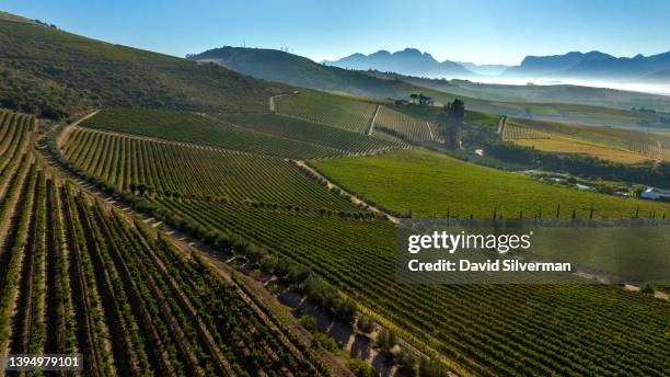 An aerial view of Jordan Wine Estate vineyards during harvest season on March 18, 2022 in the Western Cape wine-producing town of Stellenbosch, South...