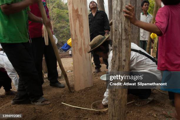 new year's celebration of the padong tribe (long-necked karen). - tribeca film festival 2011 stock pictures, royalty-free photos & images