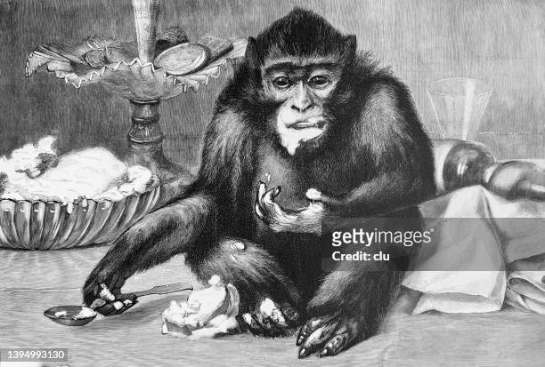 stockillustraties, clipart, cartoons en iconen met monkey eating the fruit bowls empty - ape eating banana