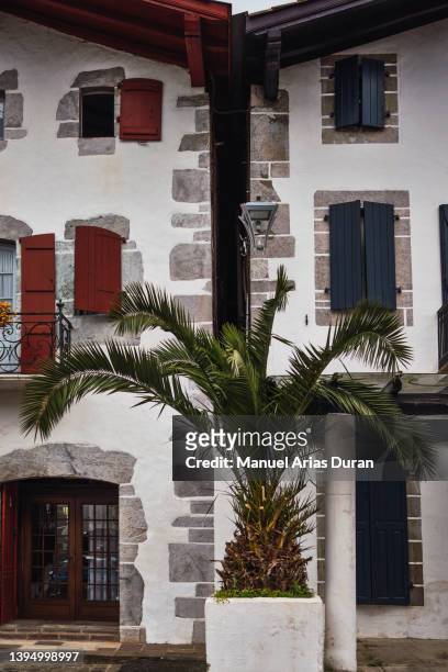 white facade of two buildings with red and blue windows, between the two buildings there is a palm tree. - espelette france photos et images de collection