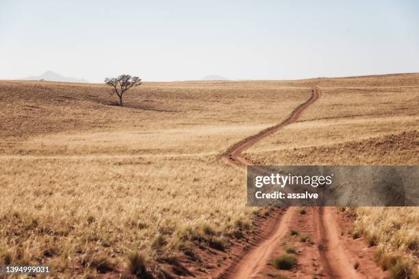 offroad path through the dunes in namib rand nature reserve, namibia - dune de sable stockfoto's en -beelden