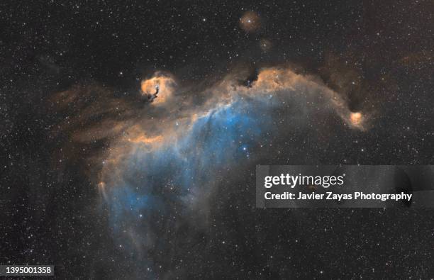 seagull nebula (ic 2177) sho palette narrow band - copyspace stock pictures, royalty-free photos & images