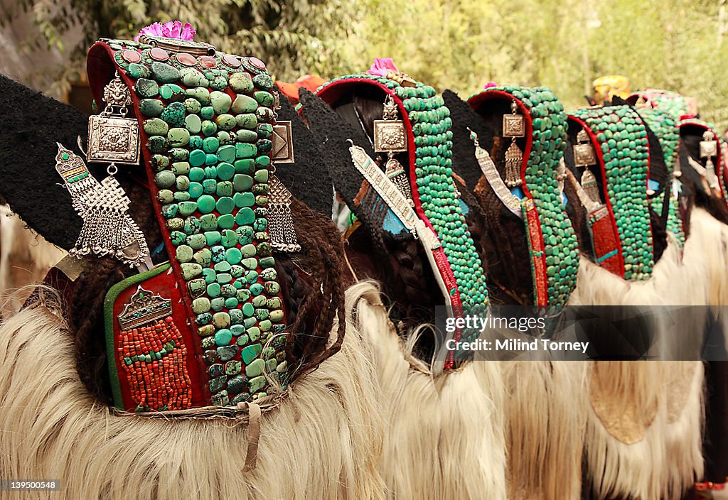 Ladakh festival